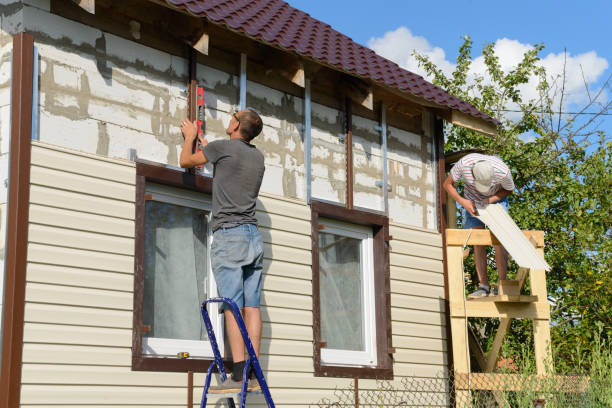 Shed Removal in Walbridge, OH